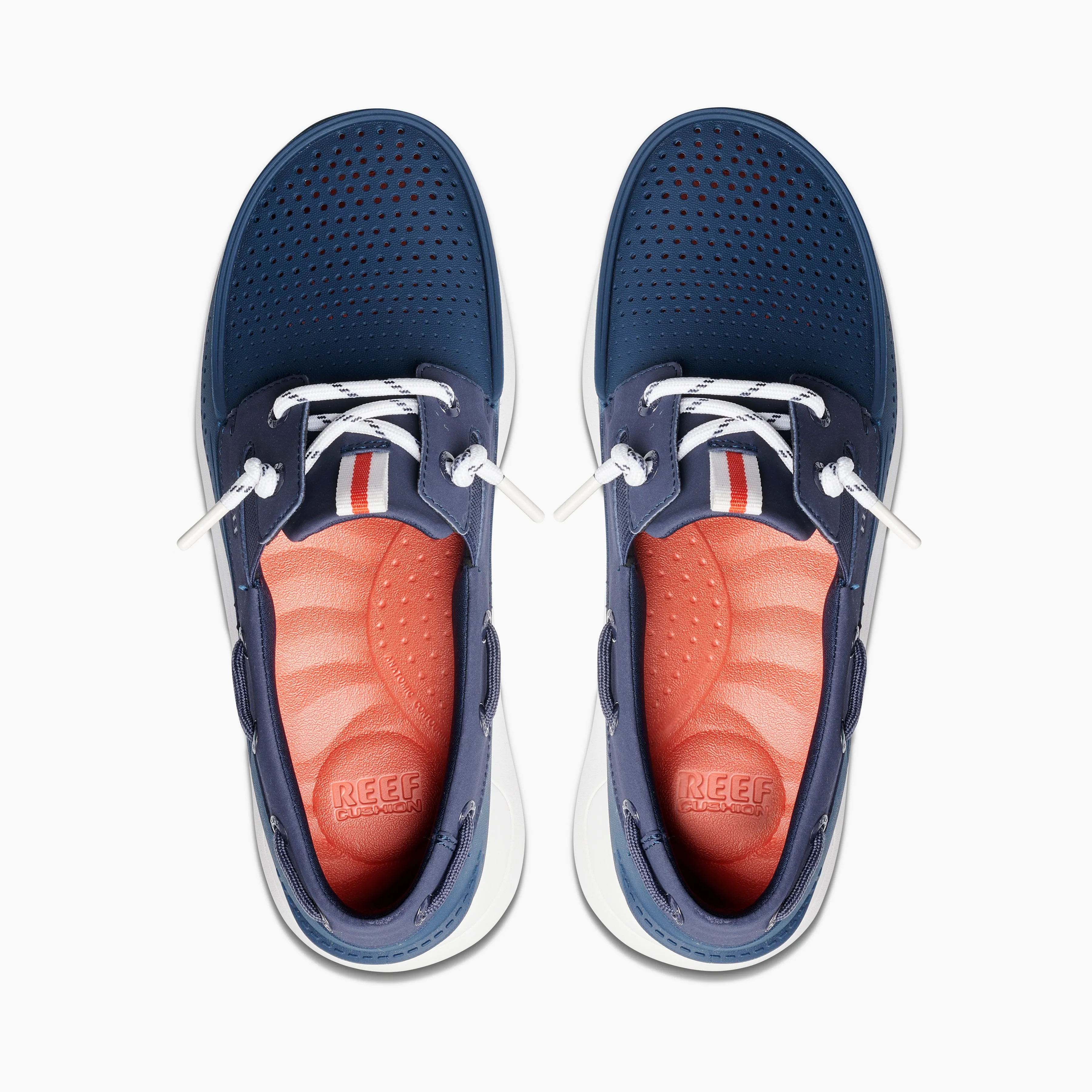 Skipper sold by Reef Dynamic product image thumbnail 3