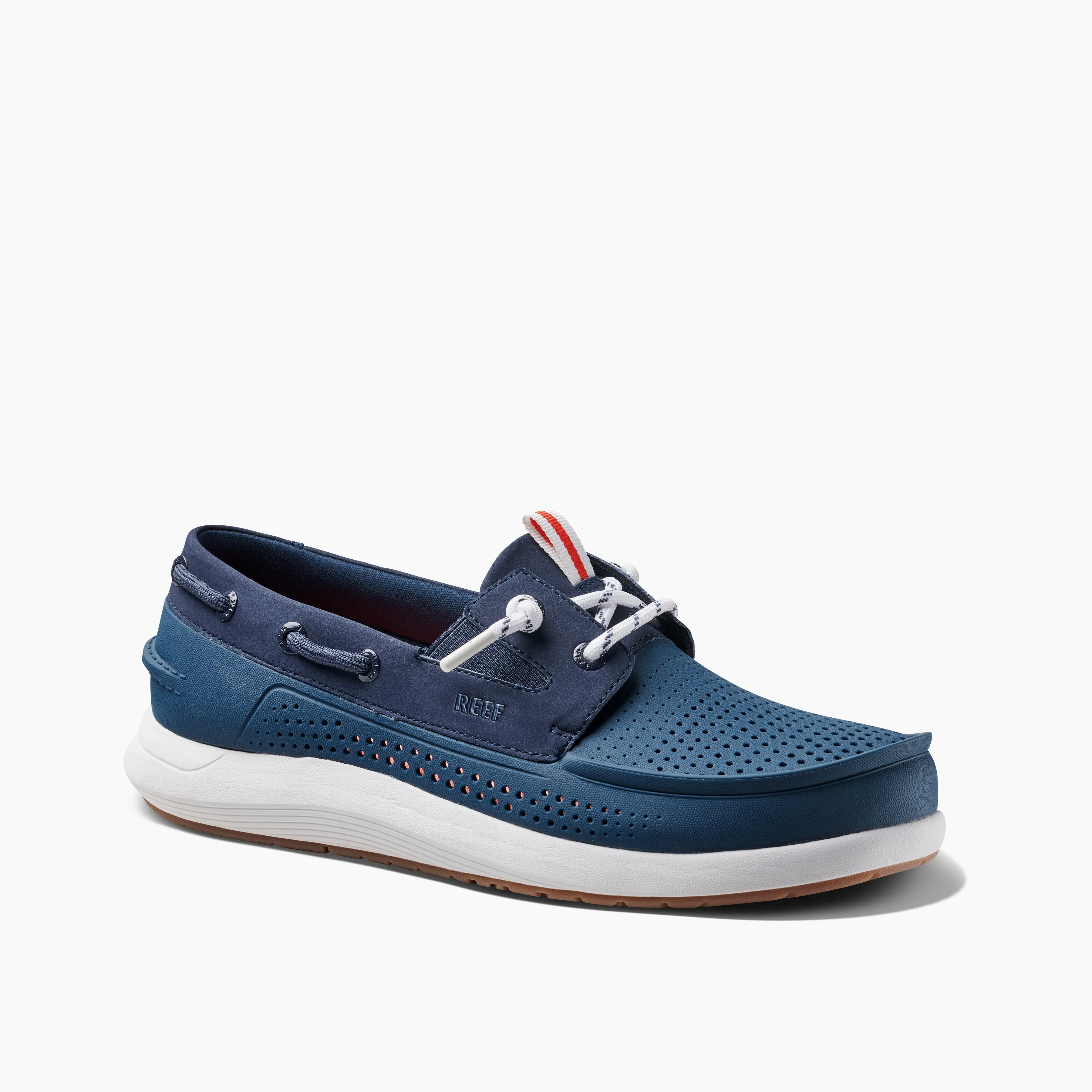 Skipper sold by Reef Dynamic product image thumbnail 2