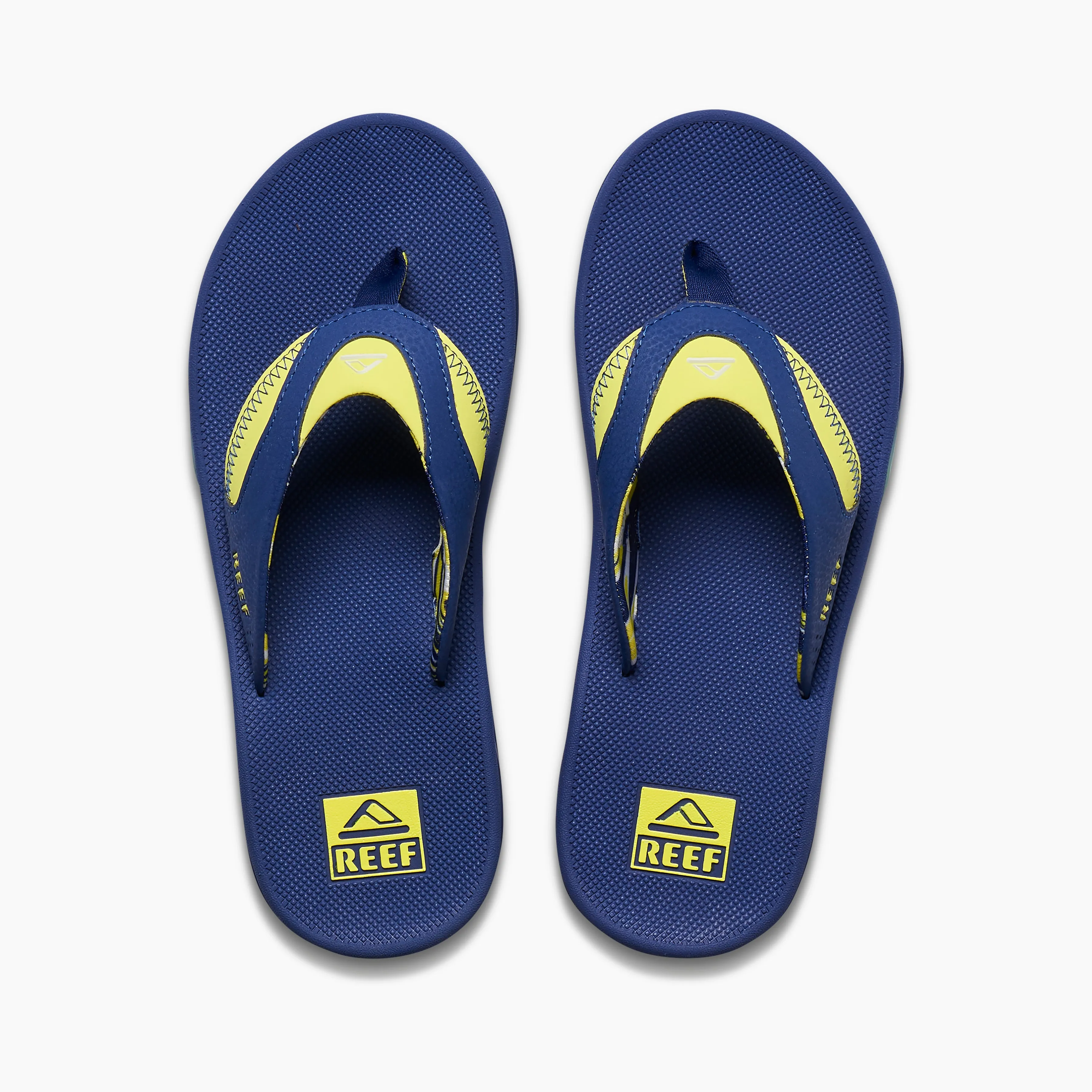 Fanning sold by Reef Dynamic product image thumbnail 3