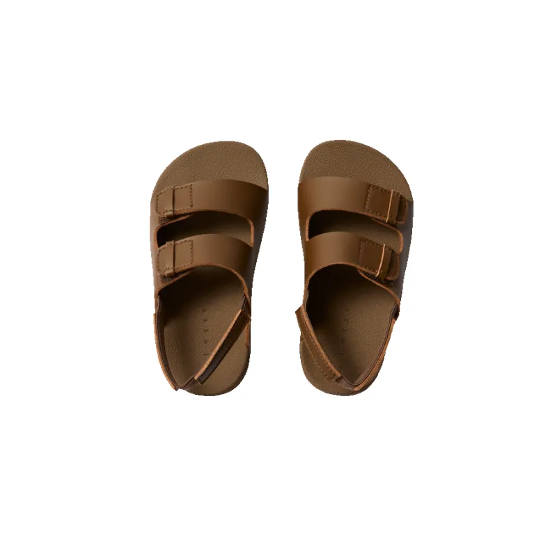 Little Sunstroll sold by Reef Dynamic