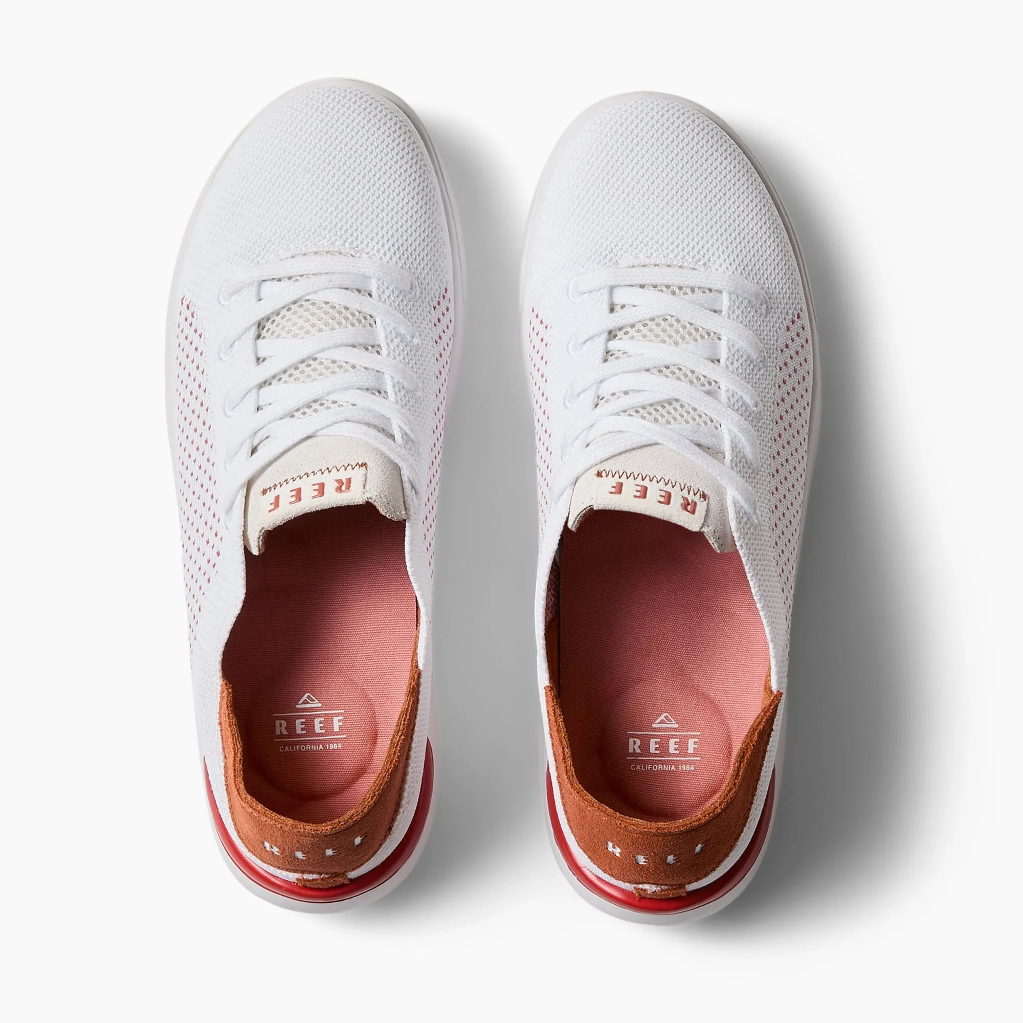 Swellsole Neptune sold by Reef Dynamic product image thumbnail 3