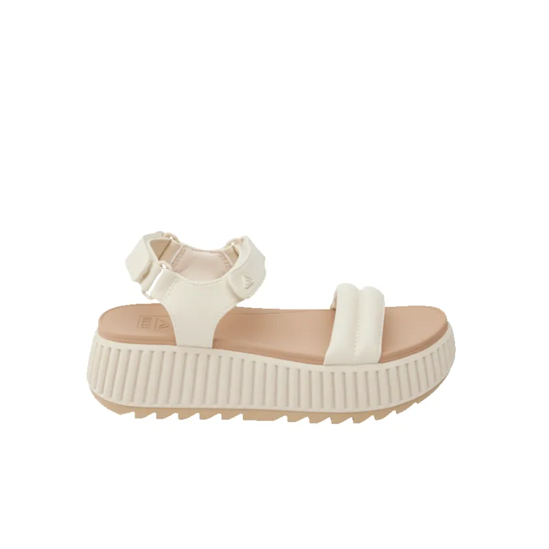 Vista Higher Raya sold by Reef Dynamic