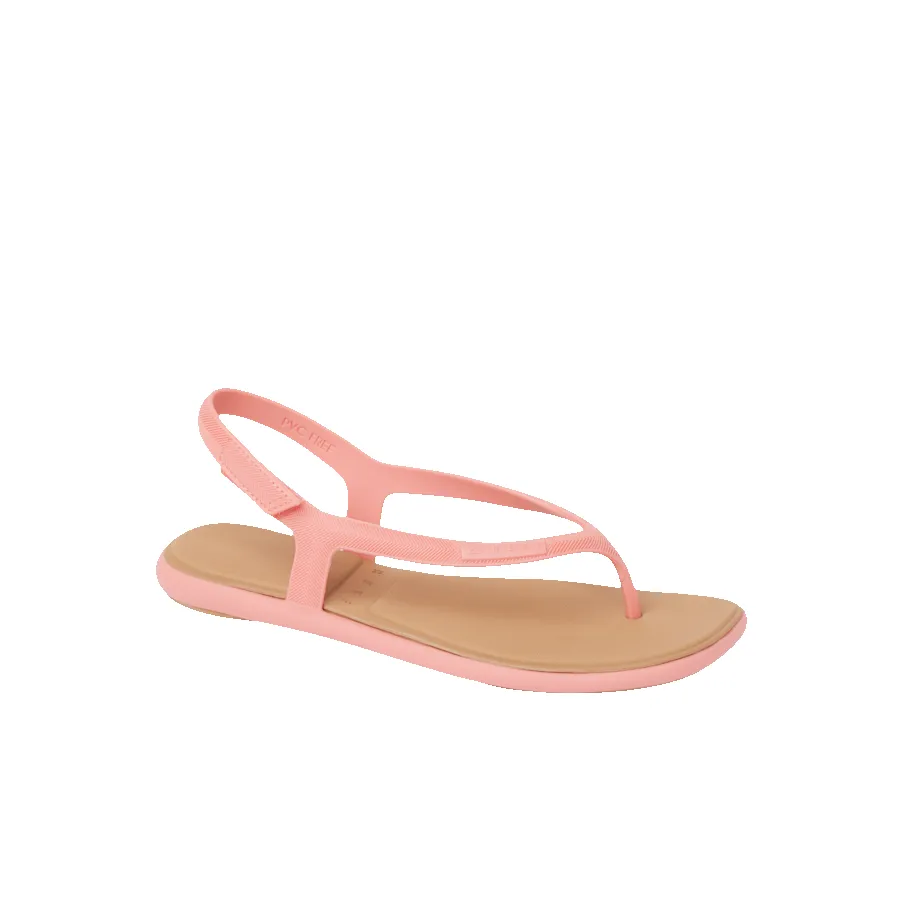 Water Willow Maya sold by Reef Dynamic product image thumbnail 2