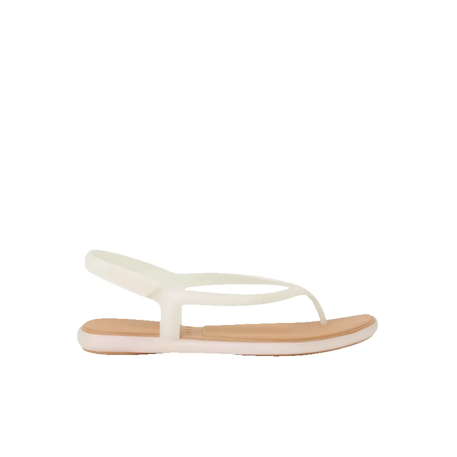 Water Willow Maya sold by Reef Dynamic