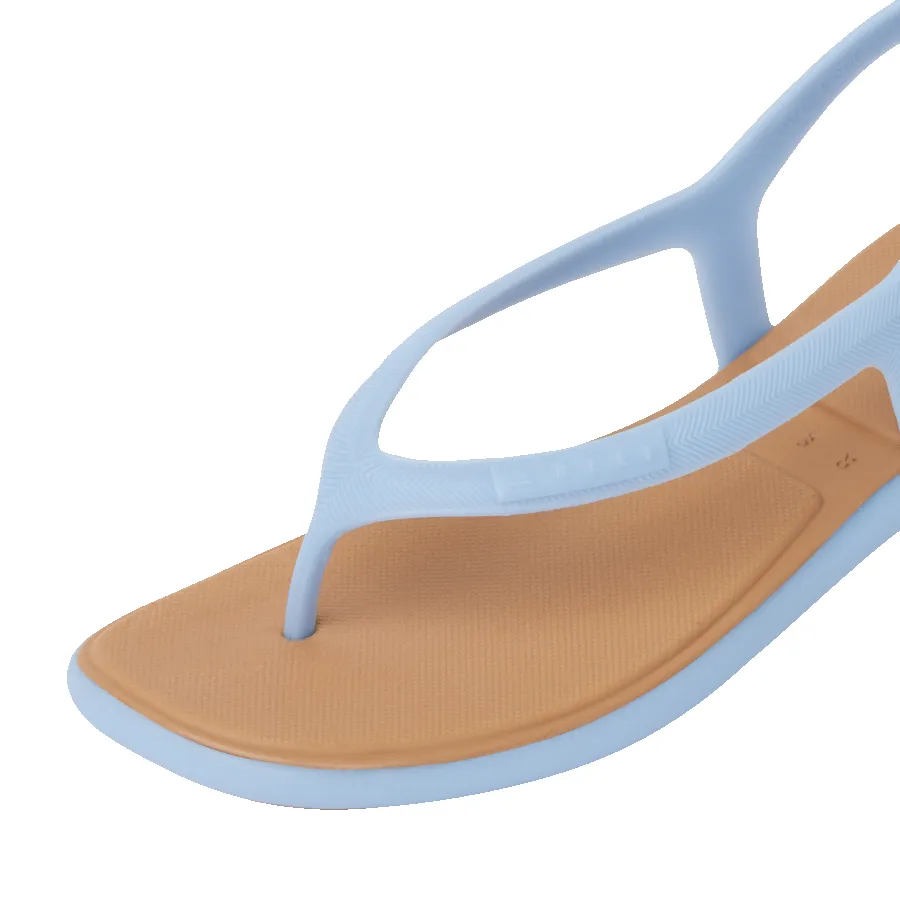 Water Willow Maya sold by Reef Dynamic product image thumbnail 4