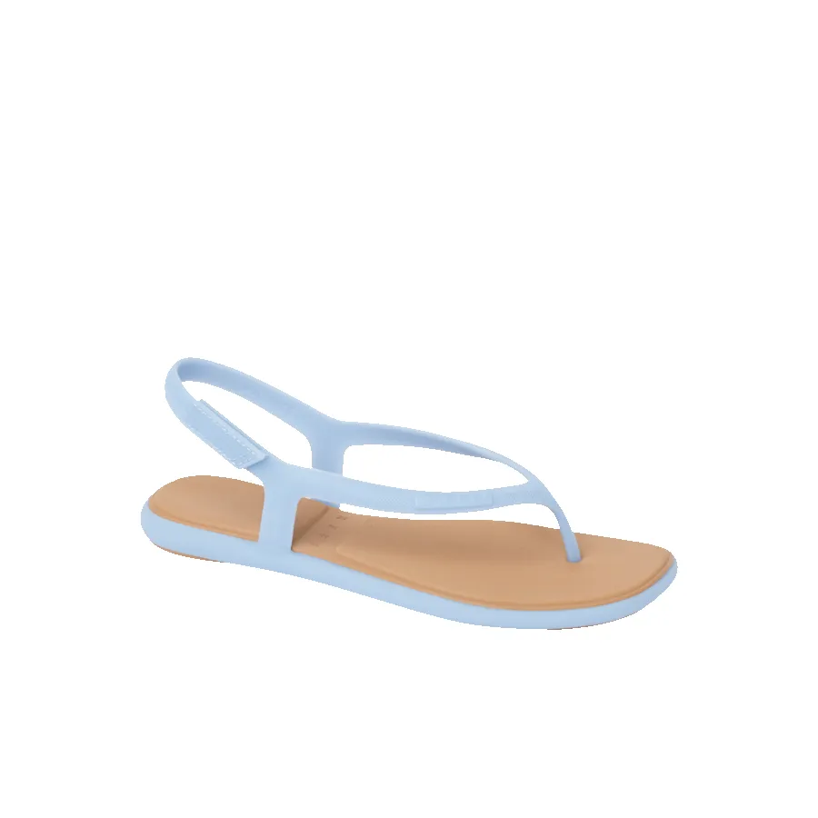 Water Willow Maya sold by Reef Dynamic product image thumbnail 2