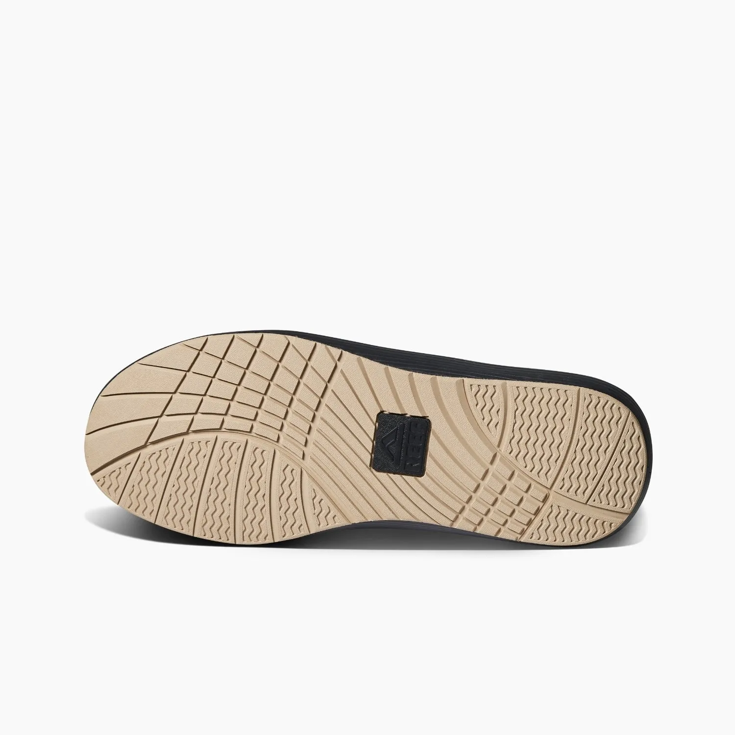 Scallywag sold by Reef Dynamic product image thumbnail 4