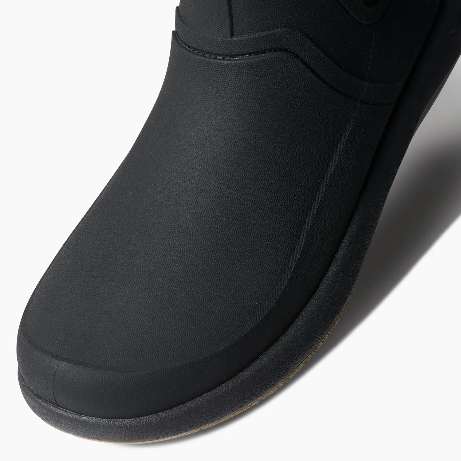Scallywag sold by Reef Dynamic product image thumbnail 5