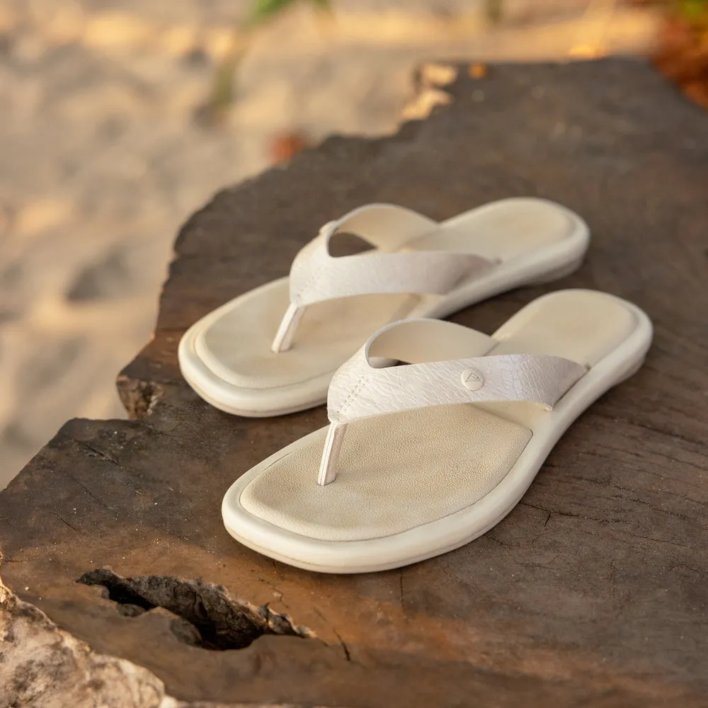 Willow Ella sold by Reef Dynamic product image thumbnail 3