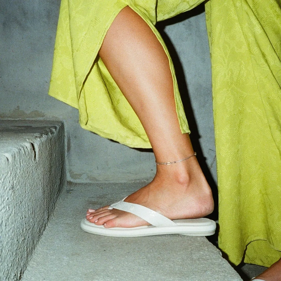 Willow Ella sold by Reef Dynamic product image thumbnail 2