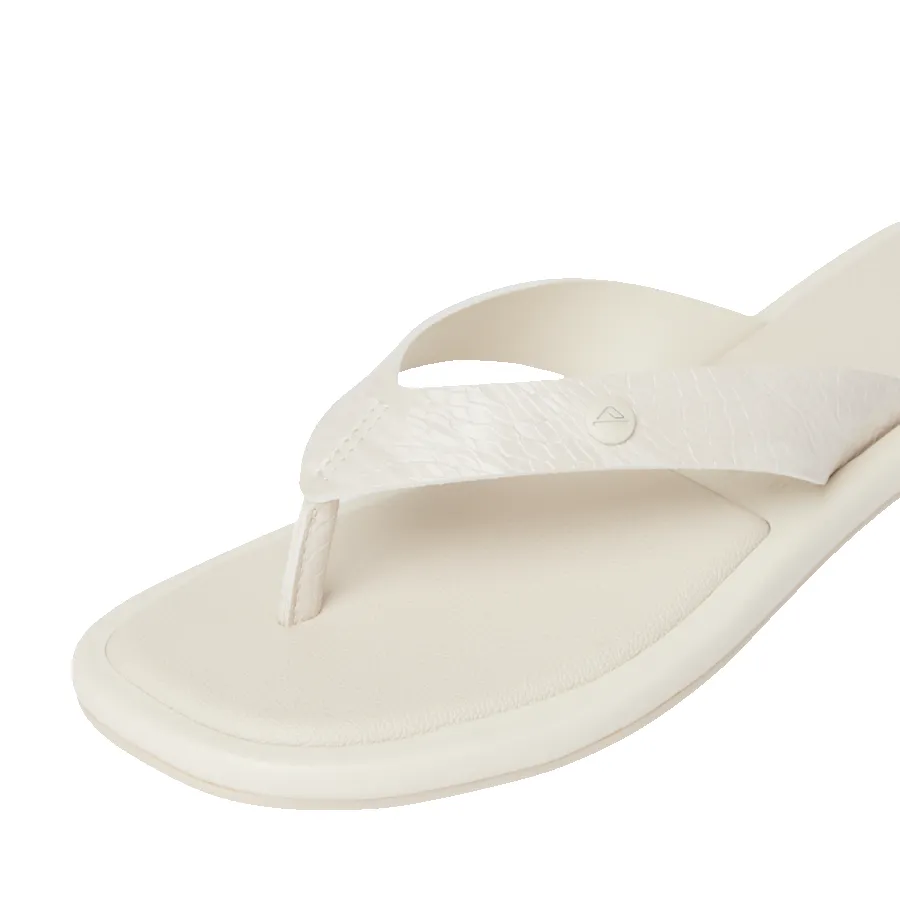 Willow Ella sold by Reef Dynamic product image thumbnail 5