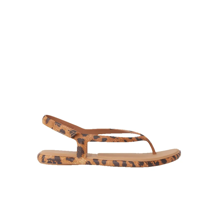 Water Willow Maya sold by Reef Dynamic