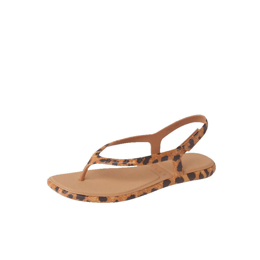 Water Willow Maya sold by Reef Dynamic product image thumbnail 5