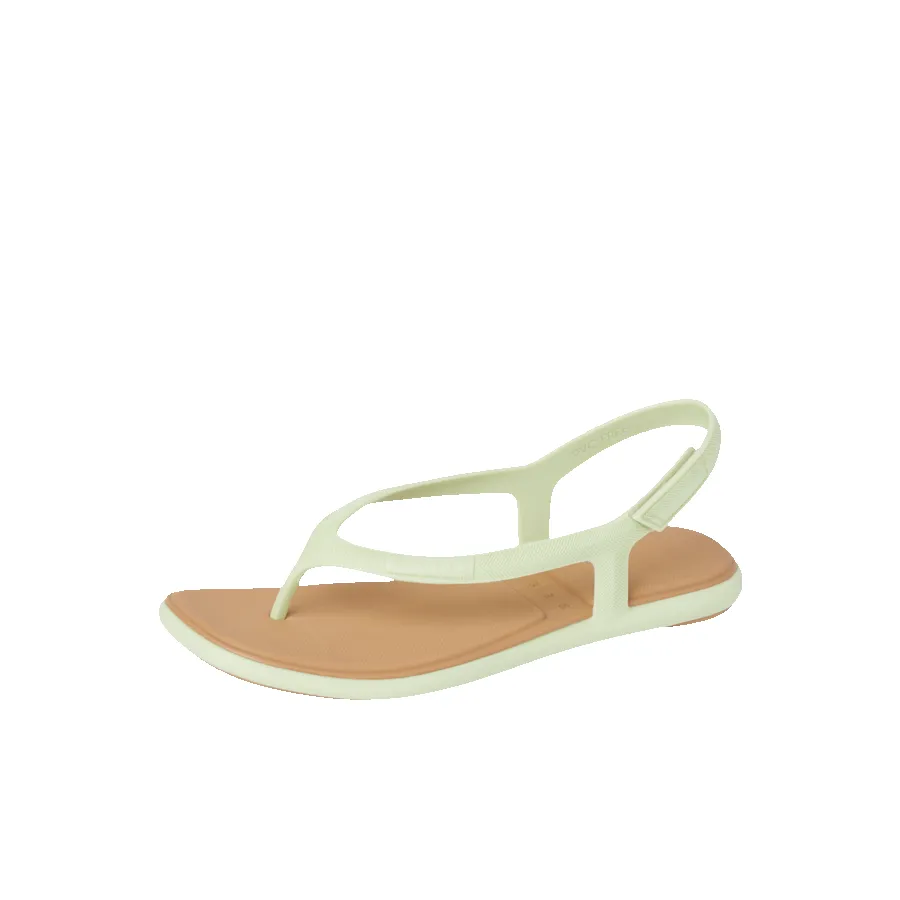 Water Willow Maya sold by Reef Dynamic product image thumbnail 4