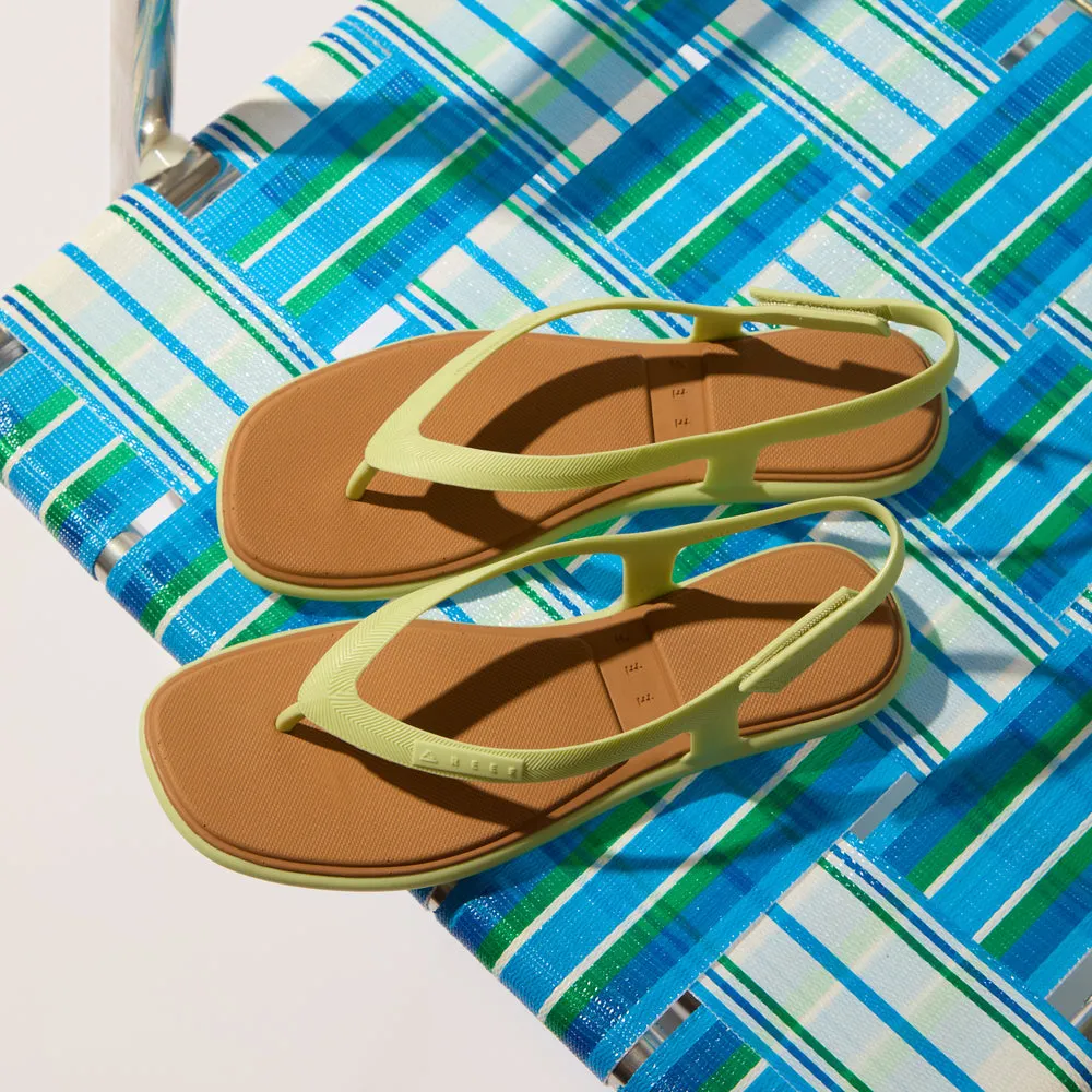 Water Willow Maya sold by Reef Dynamic product image thumbnail 2