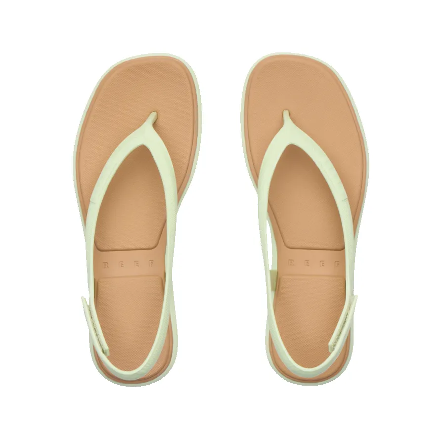 Water Willow Maya sold by Reef Dynamic product image thumbnail 5