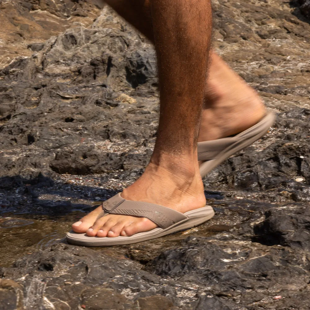 Offshore sold by Reef Dynamic product image thumbnail 2