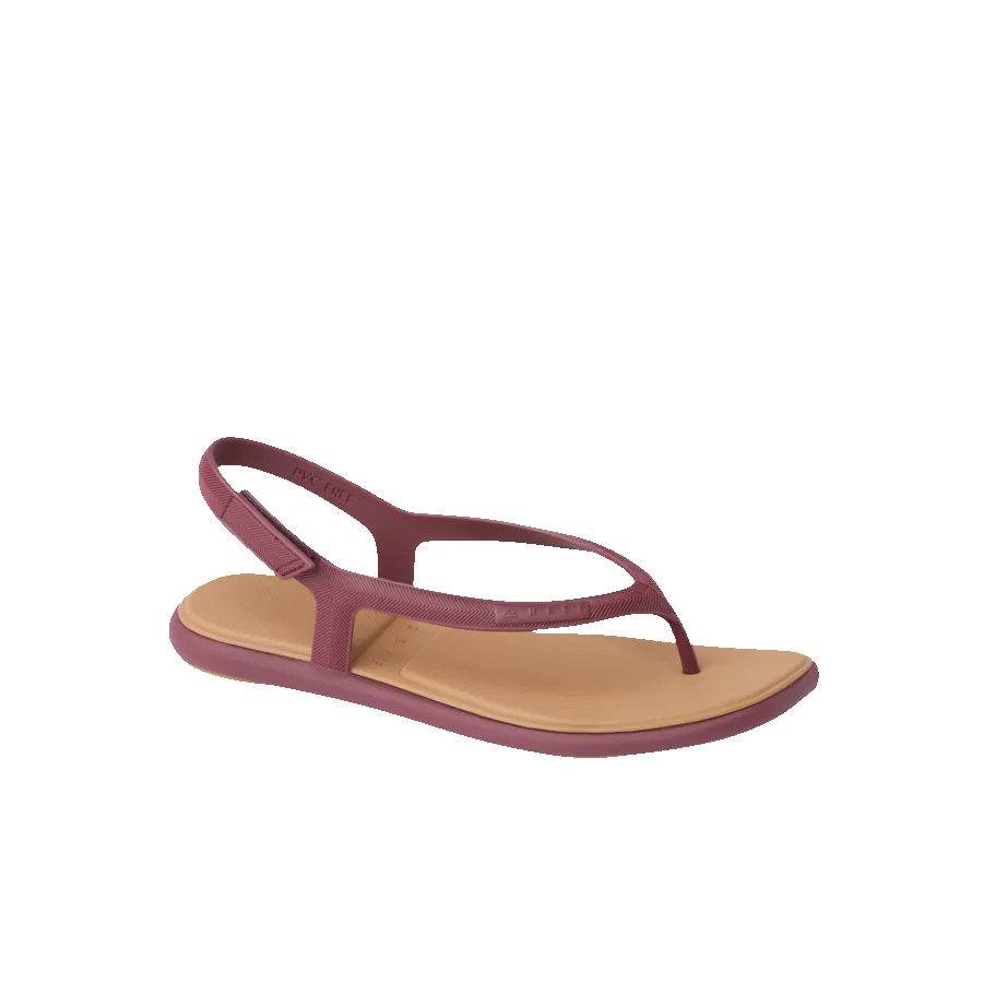 Water Willow Maya sold by Reef Dynamic product image thumbnail 2