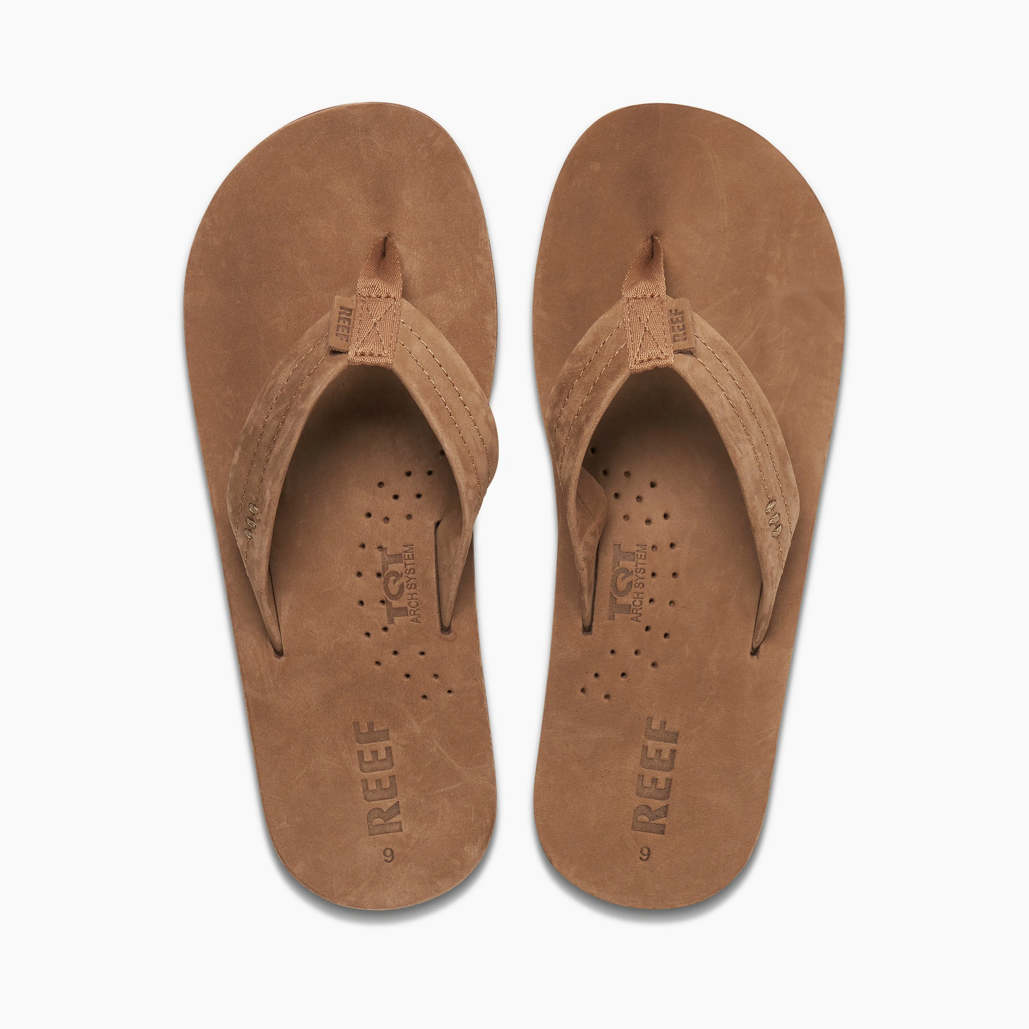 Reef Draftsmen sold by Reef Dynamic product image thumbnail 5