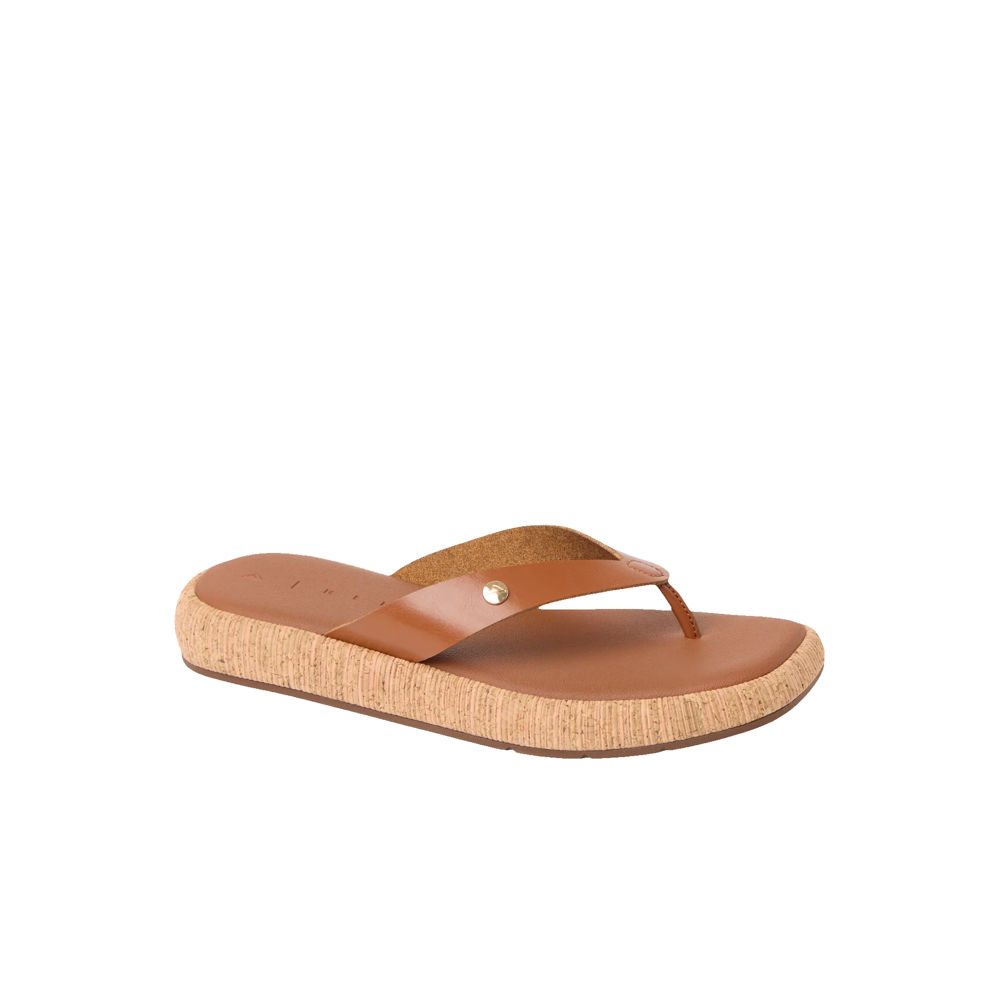 Sunset Low Maya sold by Reef Dynamic product image thumbnail 4