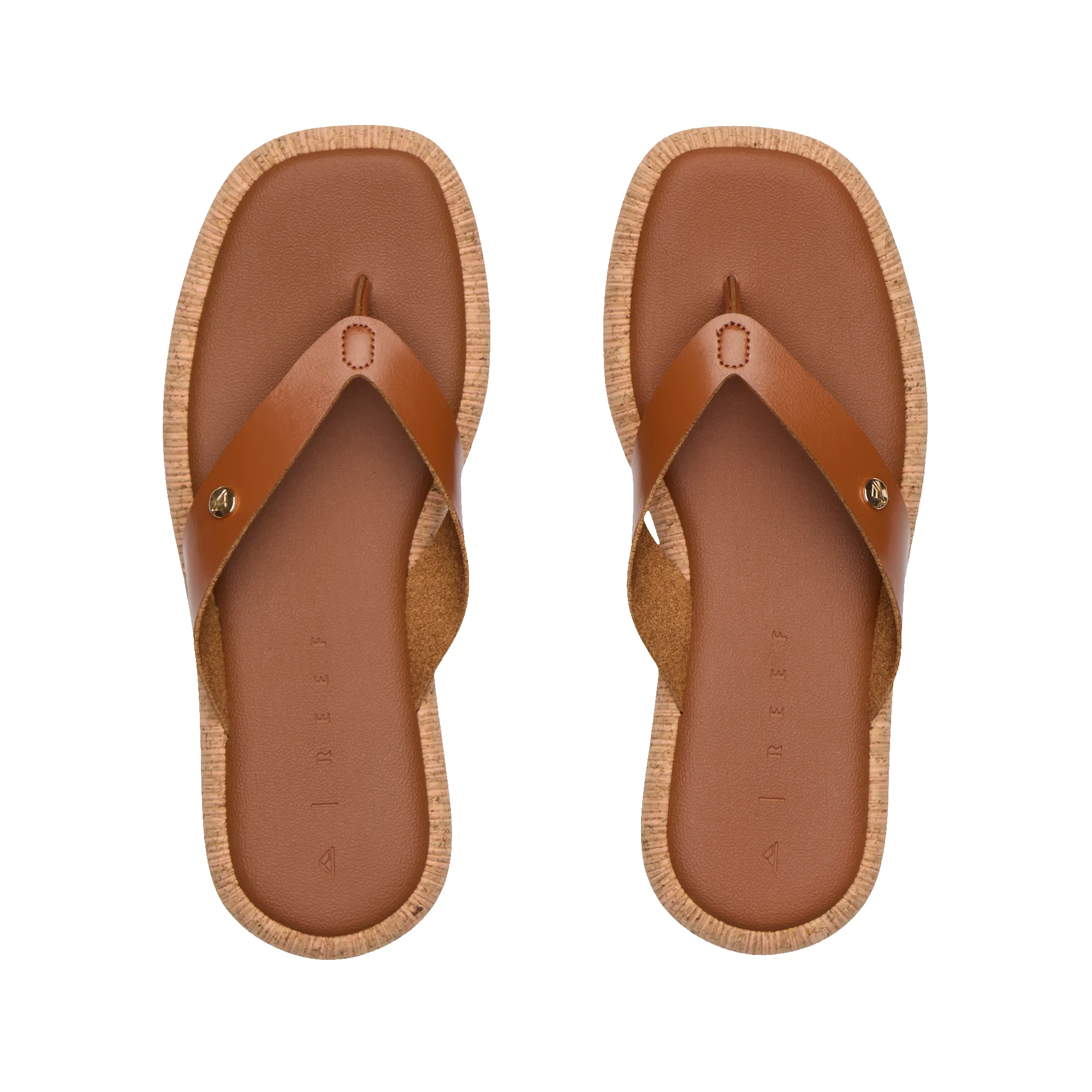 Sunset Low Maya sold by Reef Dynamic product image thumbnail 5