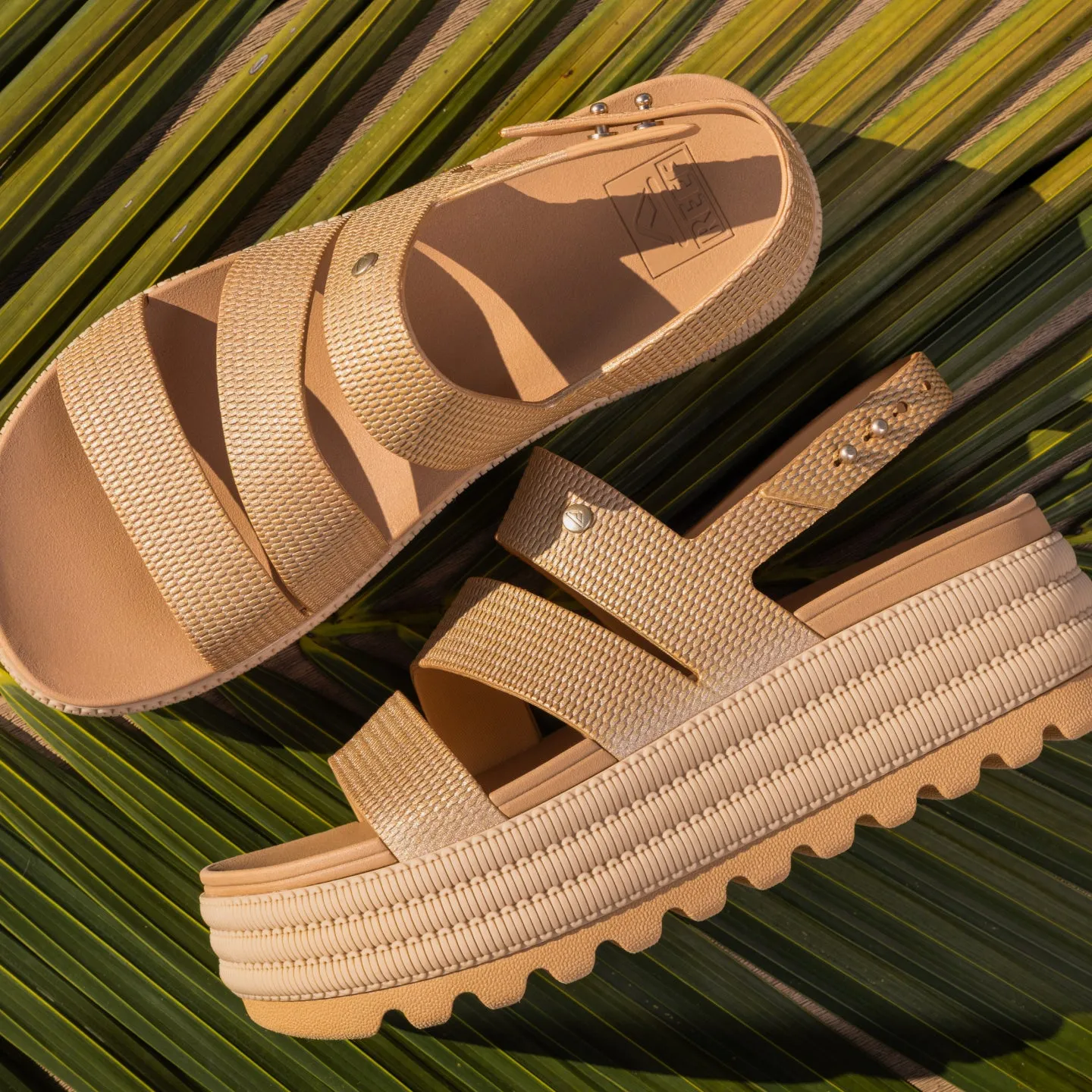 Water Vista Higher 2 sold by Reef Dynamic product image thumbnail 4