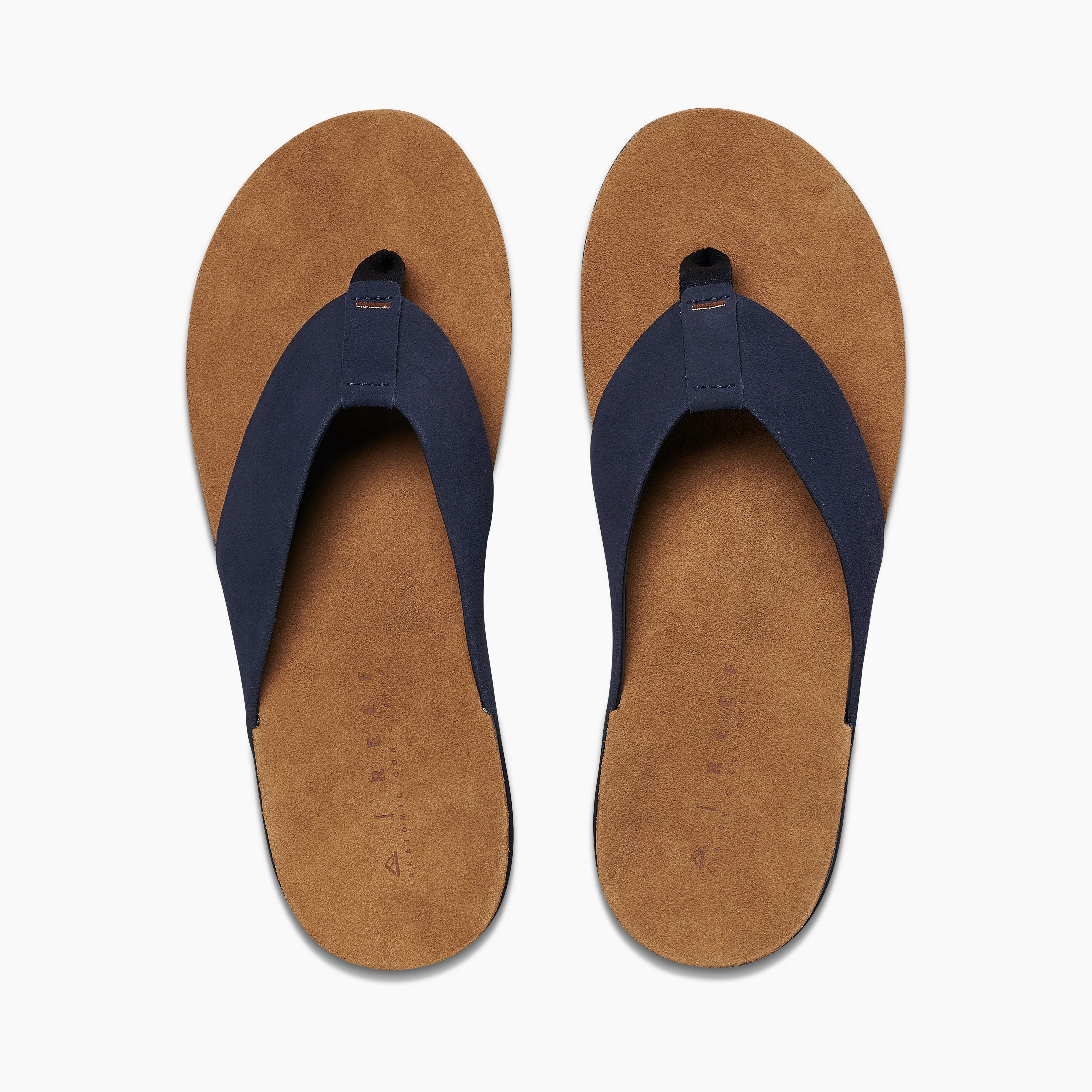 Ojai sold by Reef Dynamic product image thumbnail 3