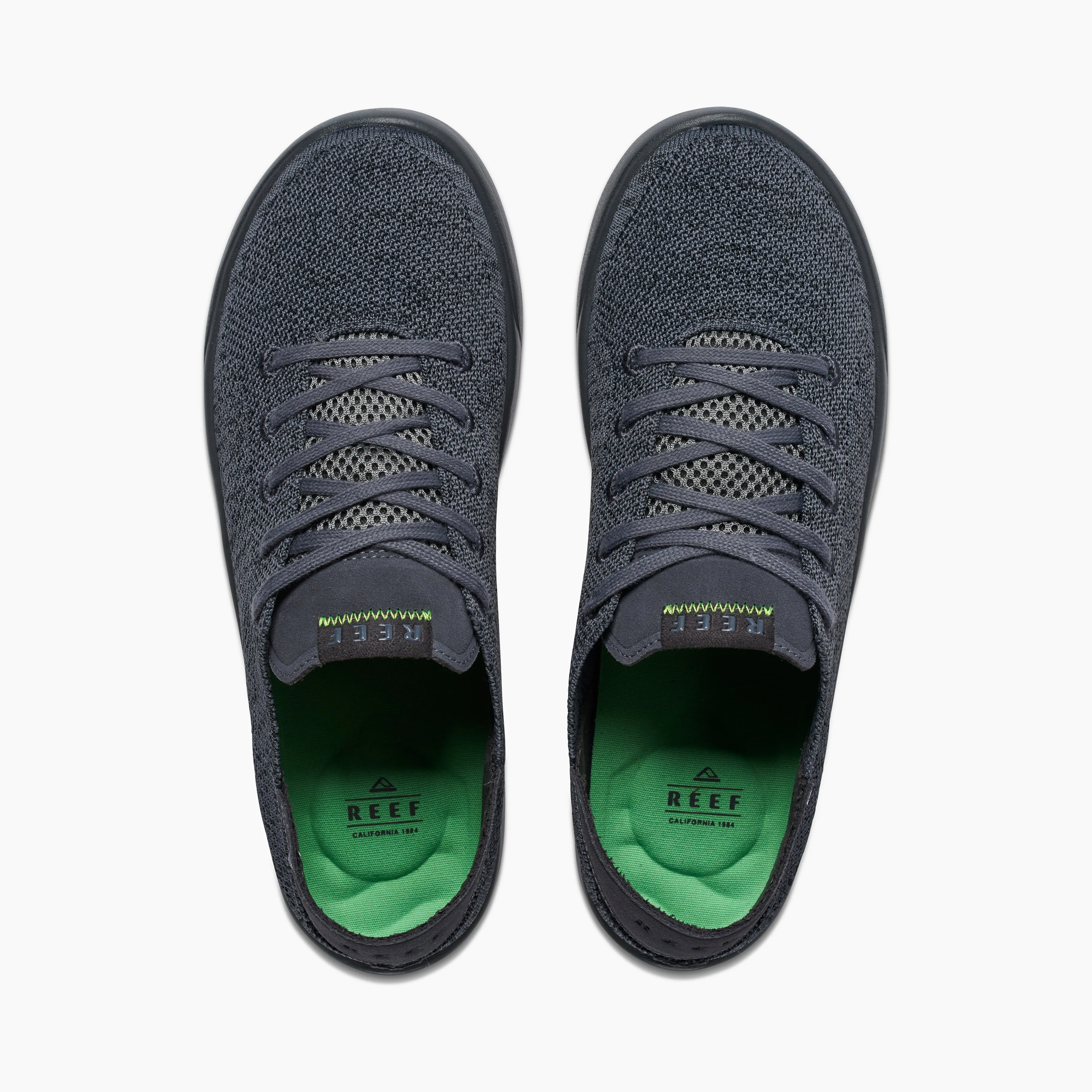 Swellsole Neptune sold by Reef Dynamic product image thumbnail 3