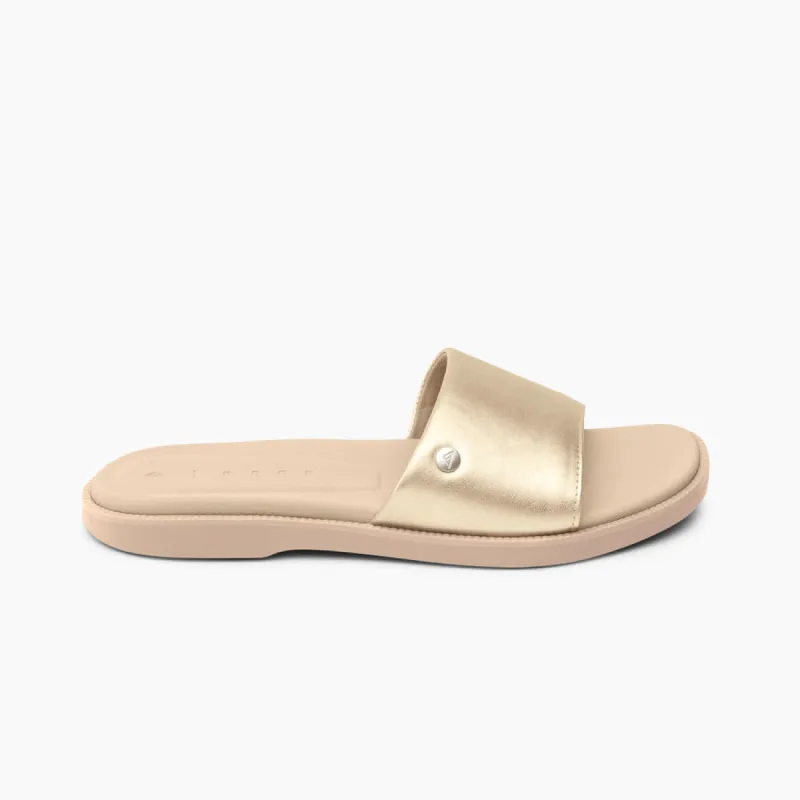 Sunny Arrianah sold by Reef Dynamic