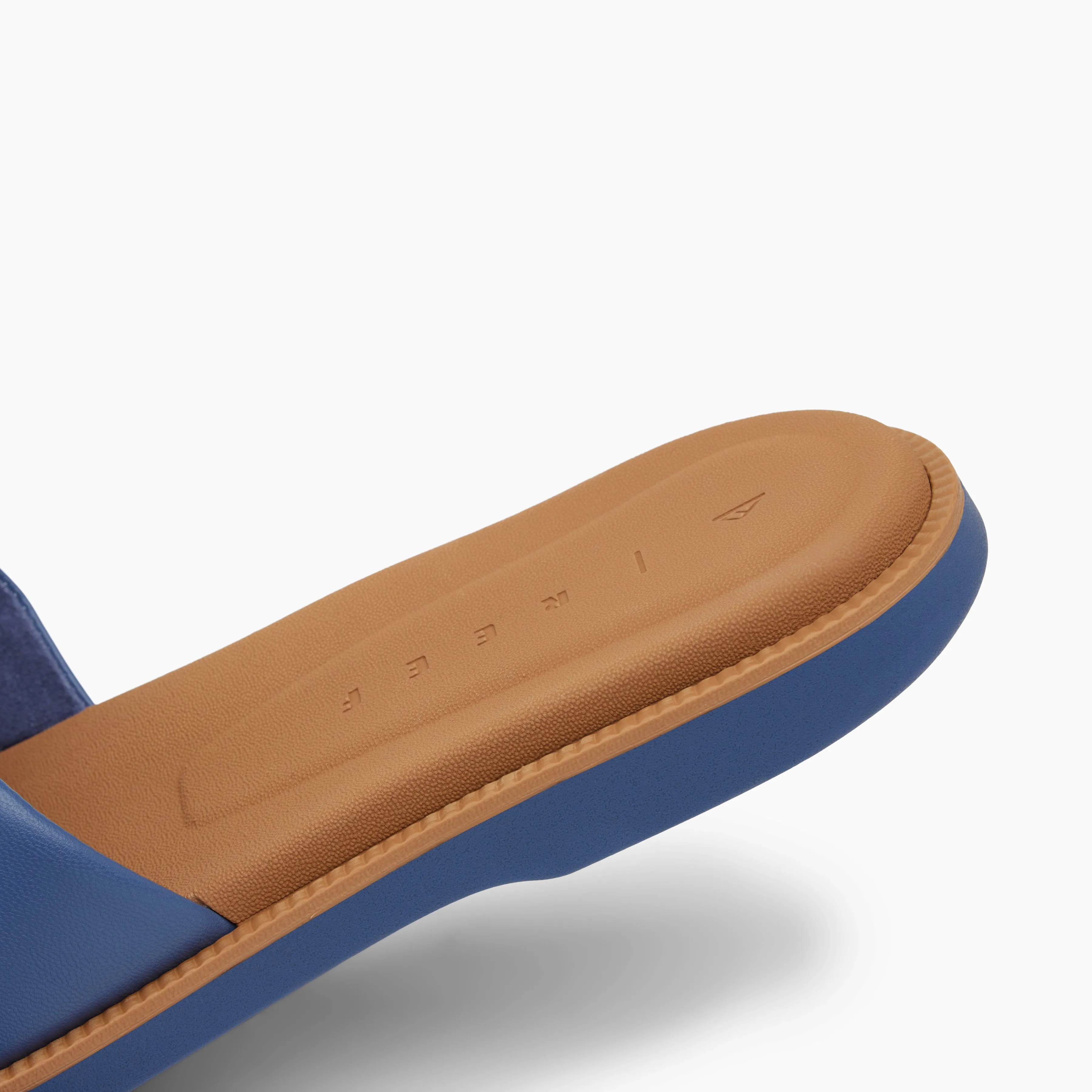 Sunny Arrianah sold by Reef Dynamic product image thumbnail 4