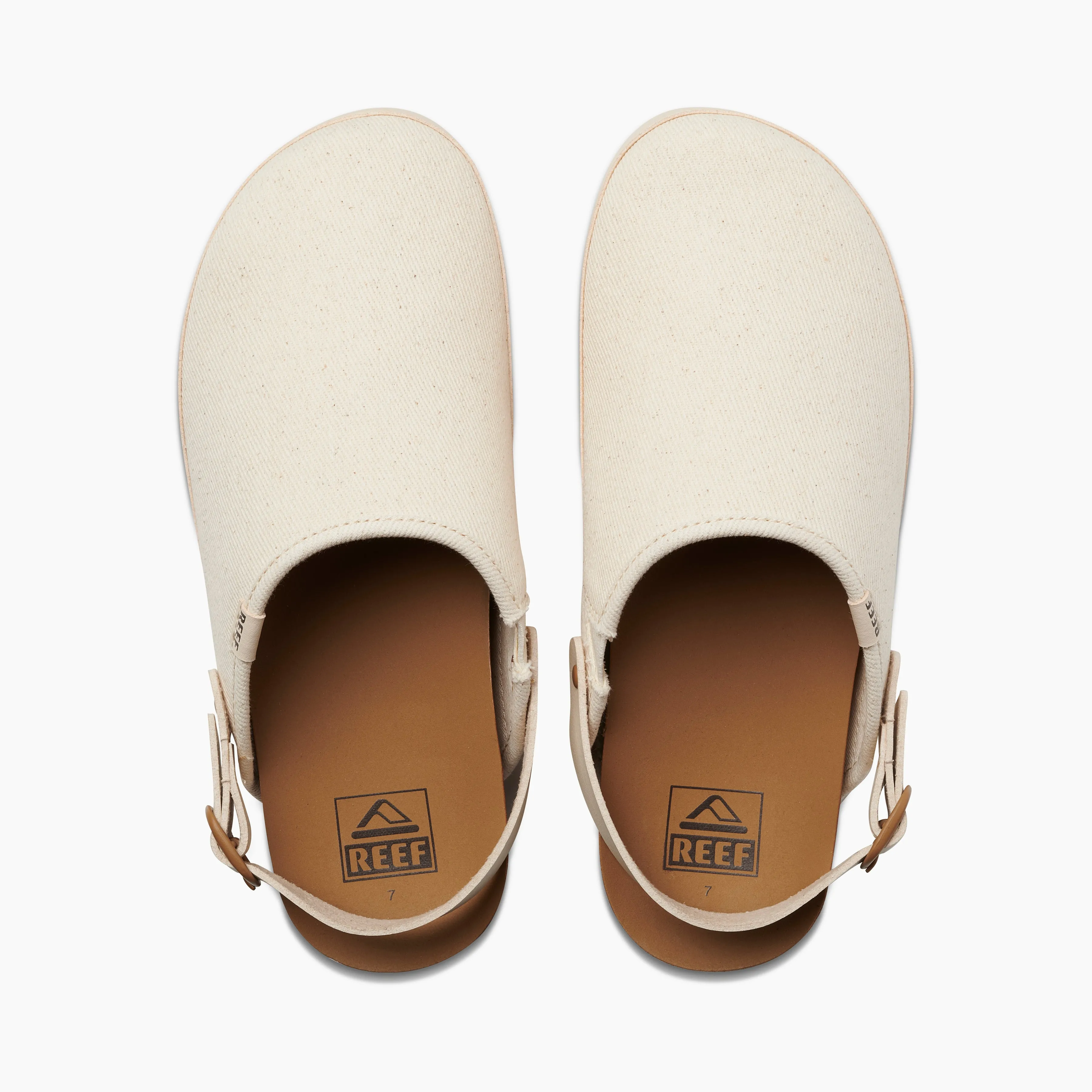 Cushion Sage Hi sold by Reef Dynamic product image thumbnail 5