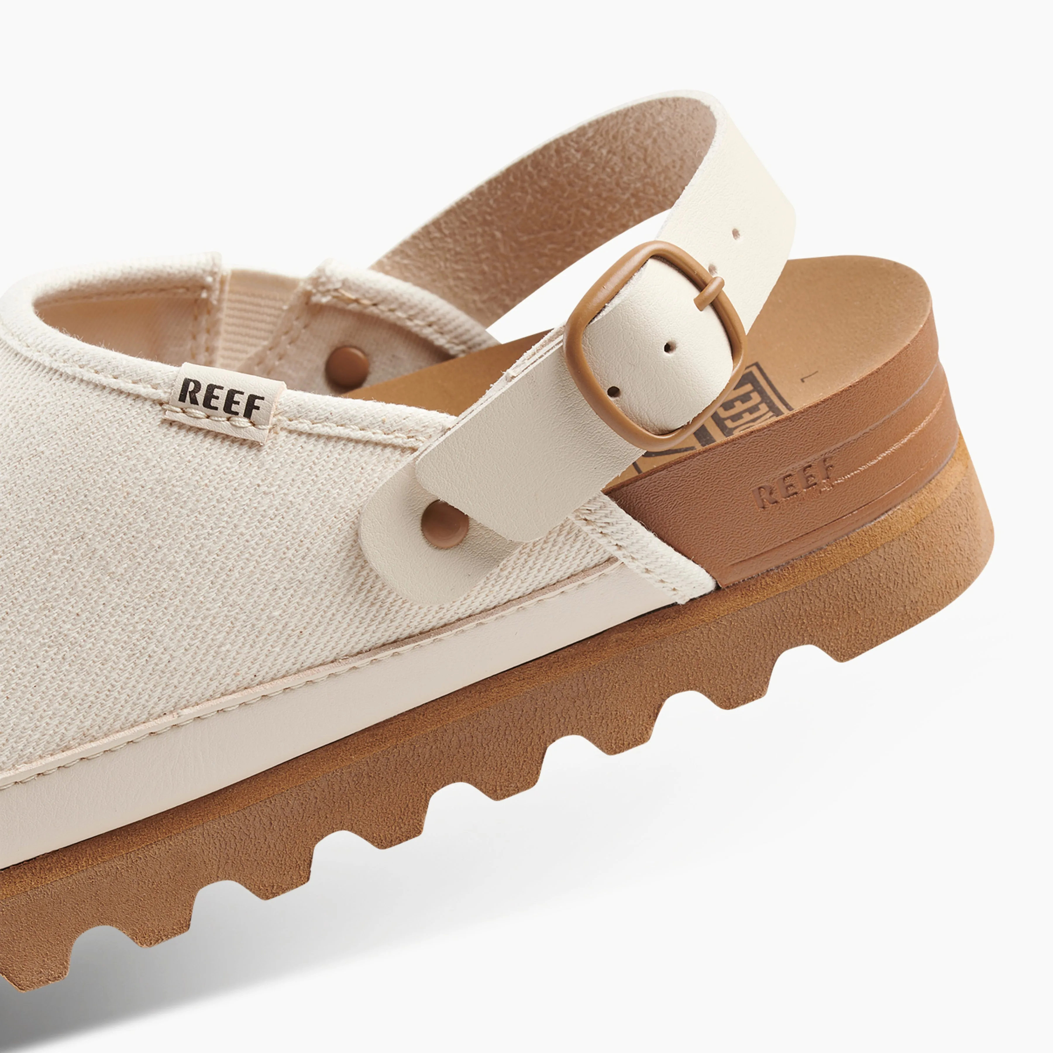 Cushion Sage Hi sold by Reef Dynamic product image thumbnail 4