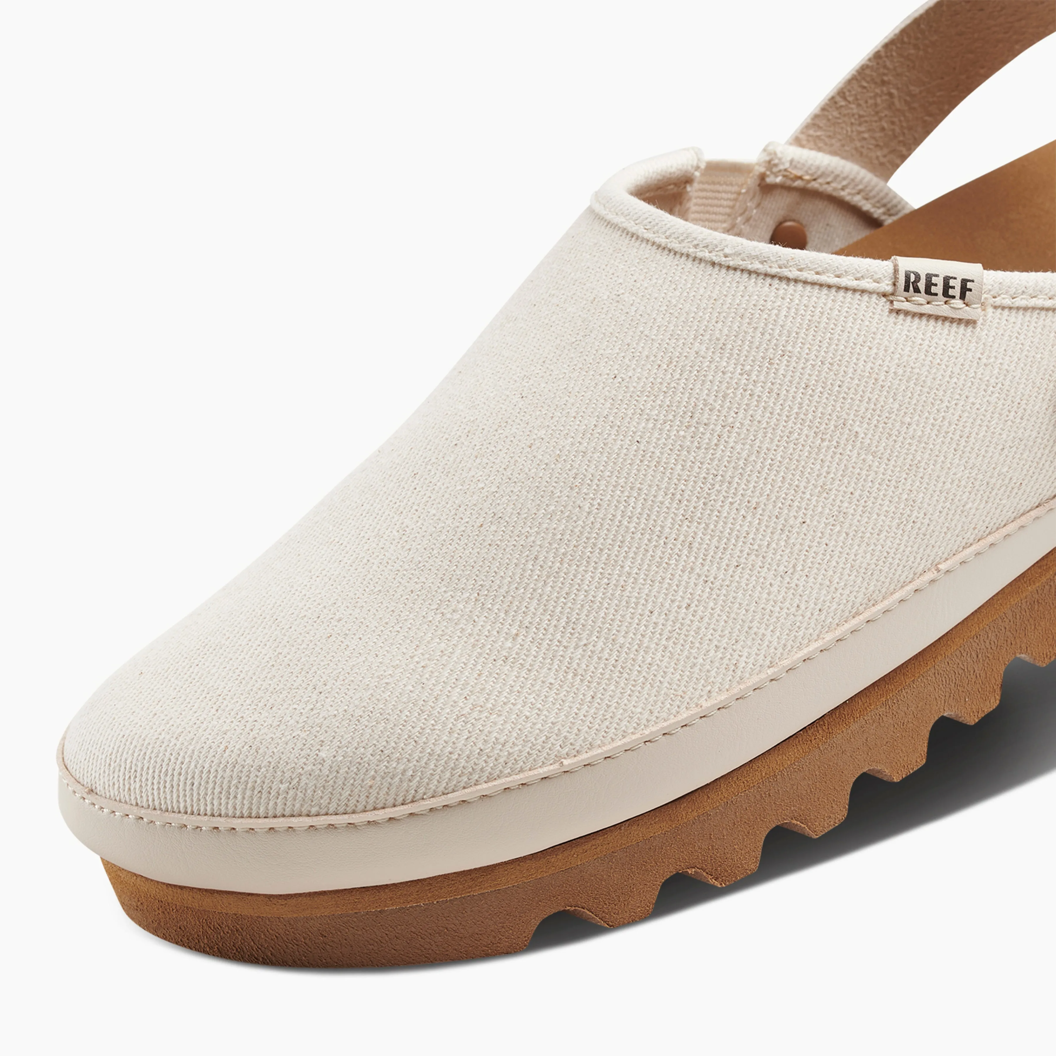 Cushion Sage Hi sold by Reef Dynamic product image thumbnail 3