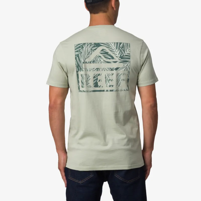 Palms sold by Reef Dynamic