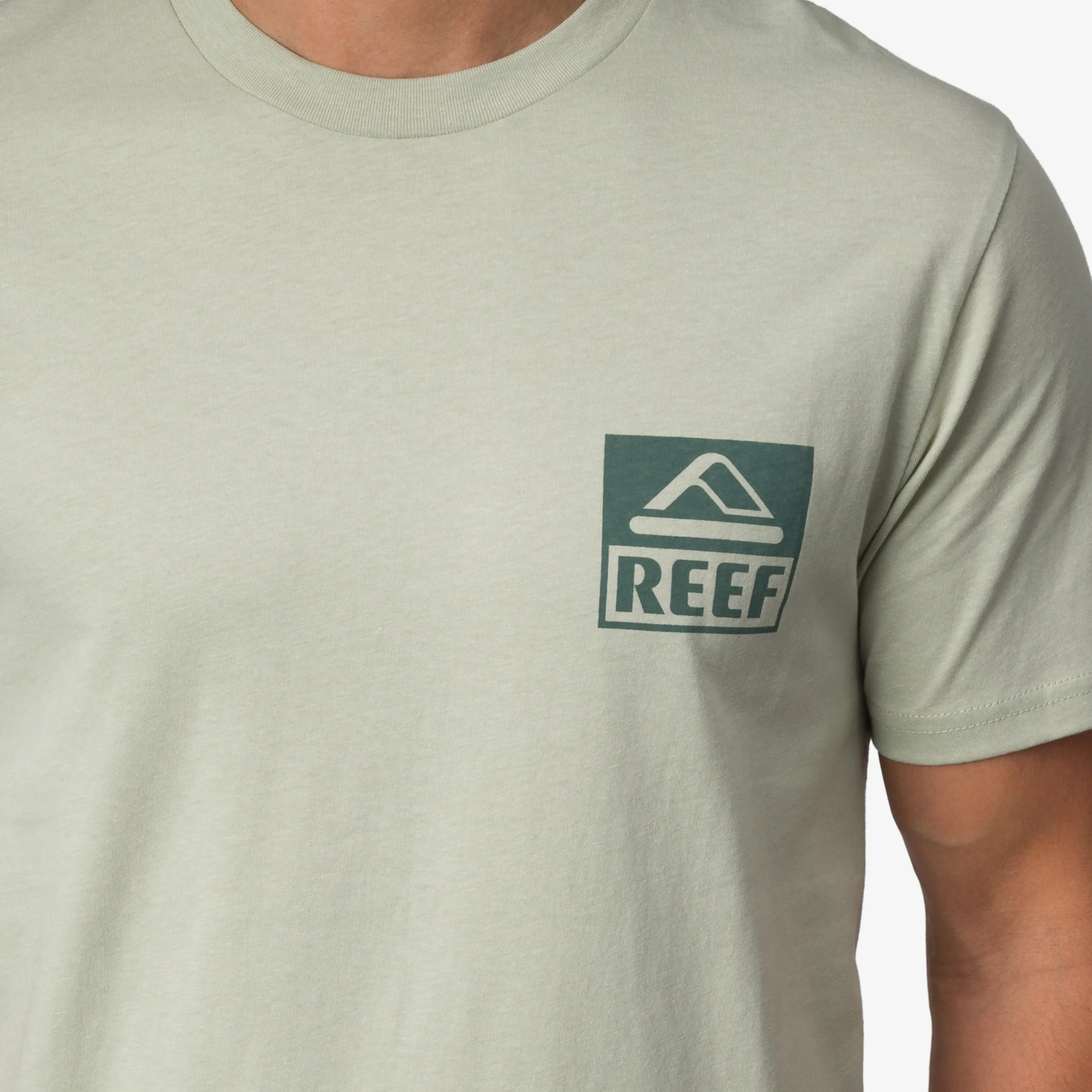 Palms sold by Reef Dynamic product image thumbnail 4