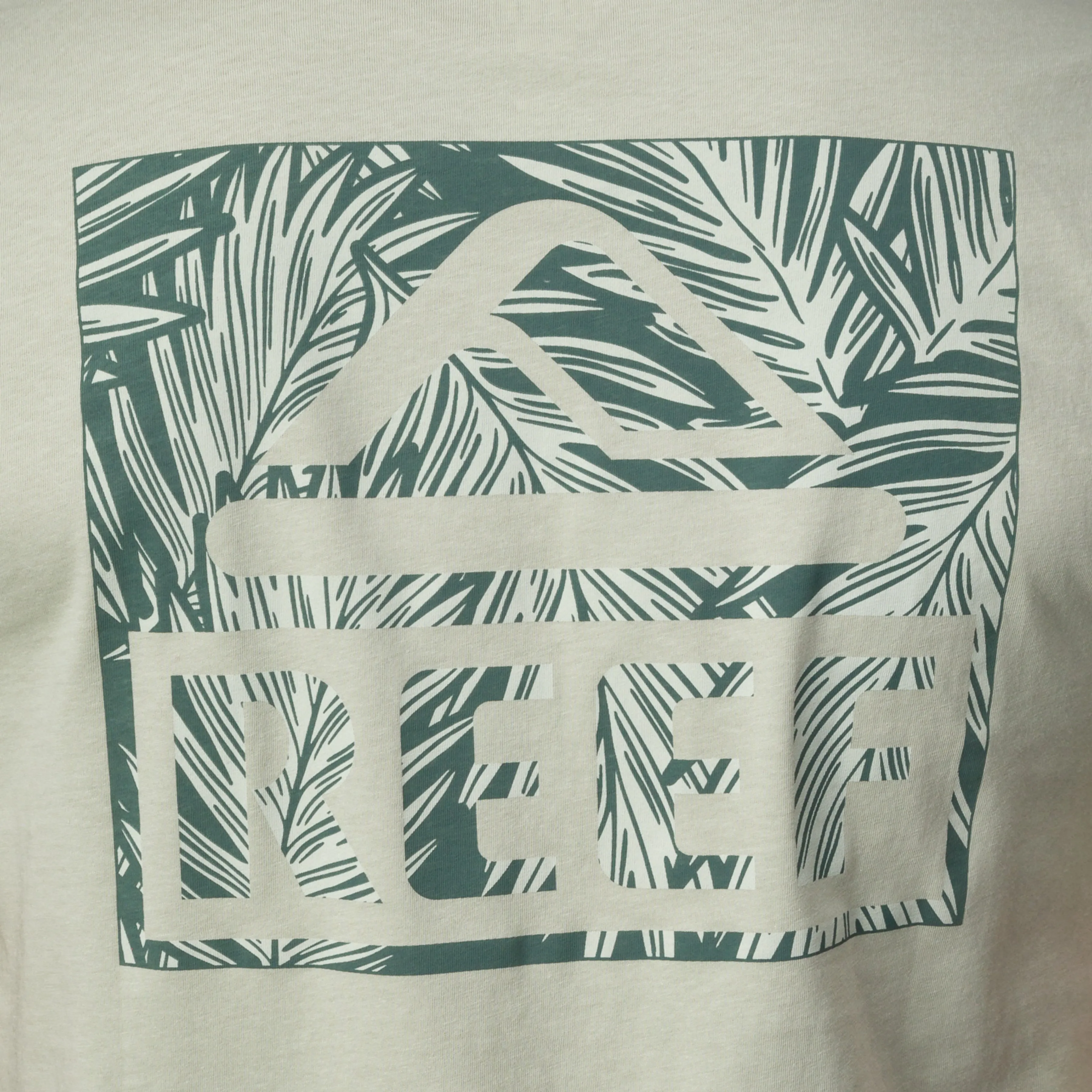 Palms sold by Reef Dynamic product image thumbnail 3