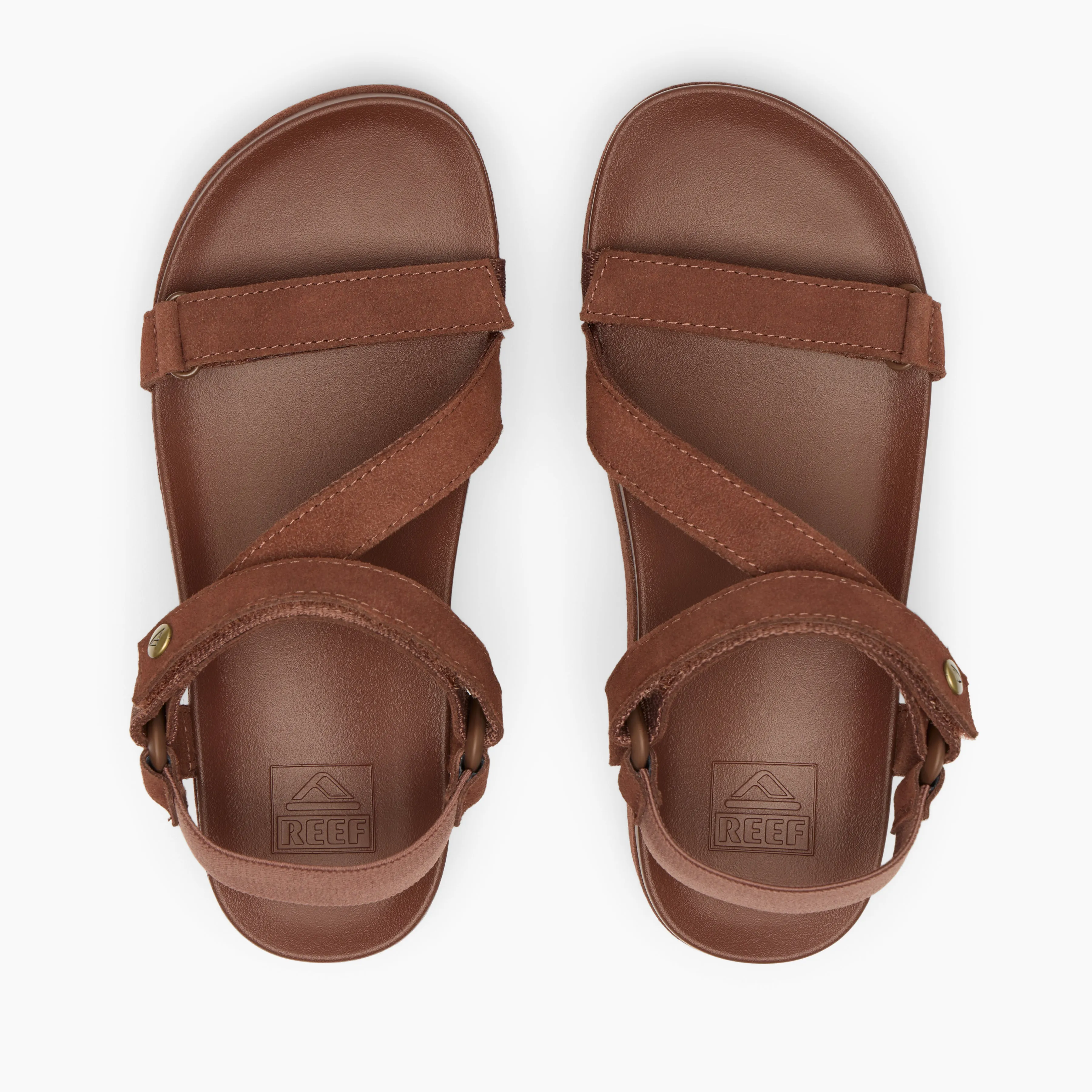 Vista Higher Luna sold by Reef Dynamic product image thumbnail 5