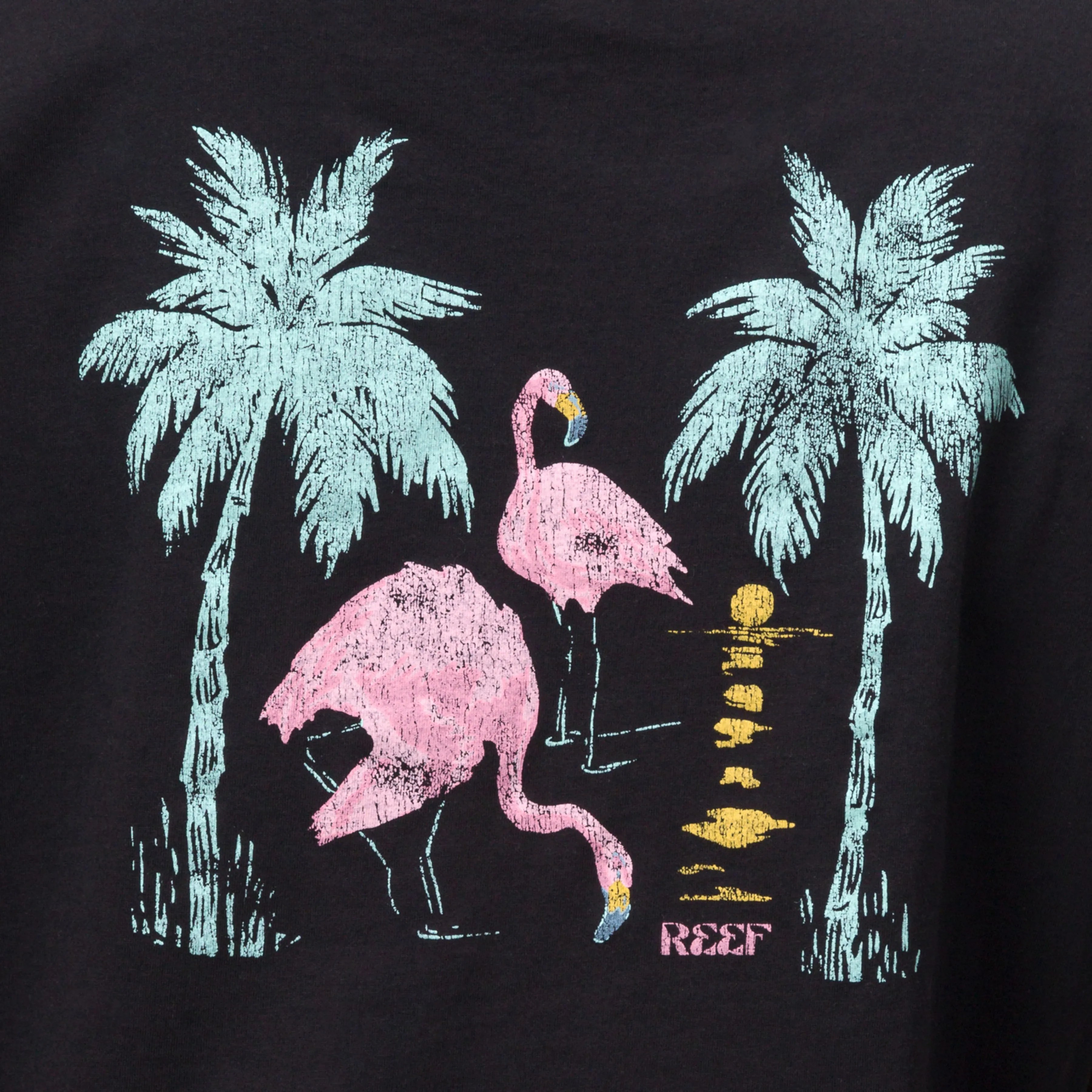 Flamazing Crop T-Shirt sold by Reef Dynamic product image thumbnail 4