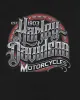 Harley Davidson T-shirt - L sold by Rokit