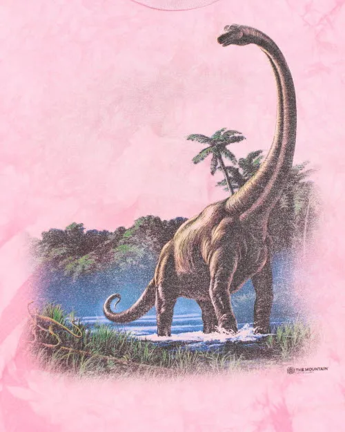 Vintage The Mountain Dinosaur Graphic T-Shirt - L sold by Rokit product image thumbnail 4