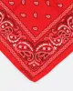Red Paisley Pattern Bandana sold by Rokit