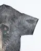 Vintage 2000's The Mountain Bear Face Graphic T-Shirt - L sold by Rokit