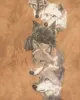 Vintage 2000's The Mountain Wolf Pack T-Shirt - XL sold by Rokit