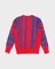 Vintage 00s Champion Reverse Weave Striped Sweatshirt - XS sold by Rokit