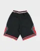 Vintage 90's Jordan Embroidered Oversized Basketball Shorts - M sold by Rokit