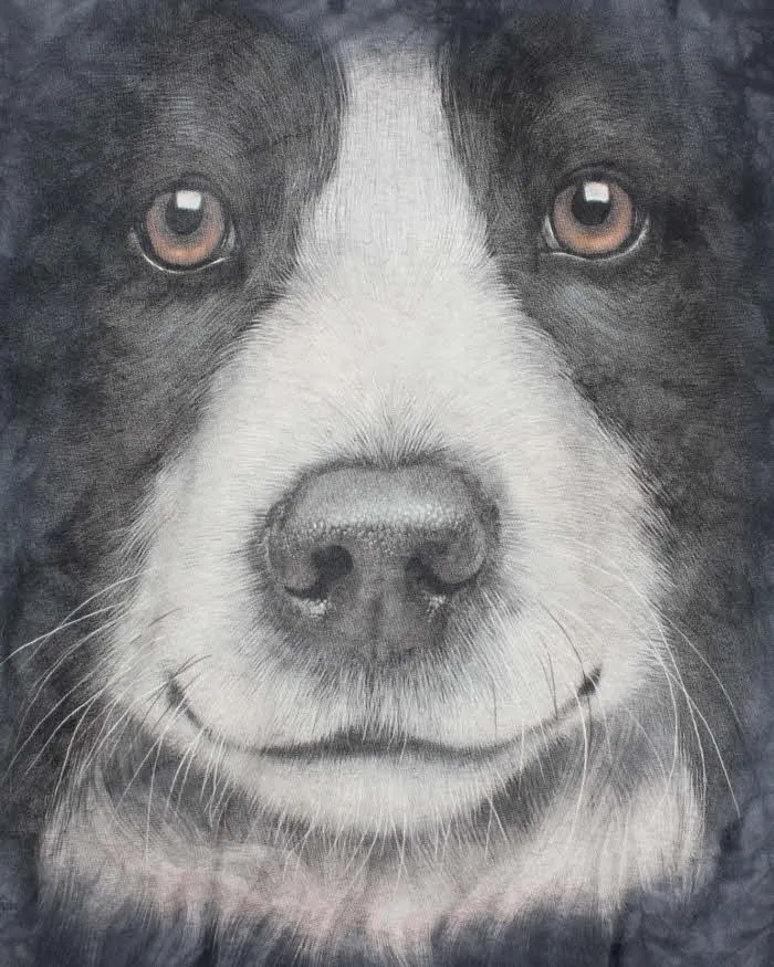 Vintage The Mountain Dog Graphic T-shirt - M sold by Rokit product image thumbnail 3