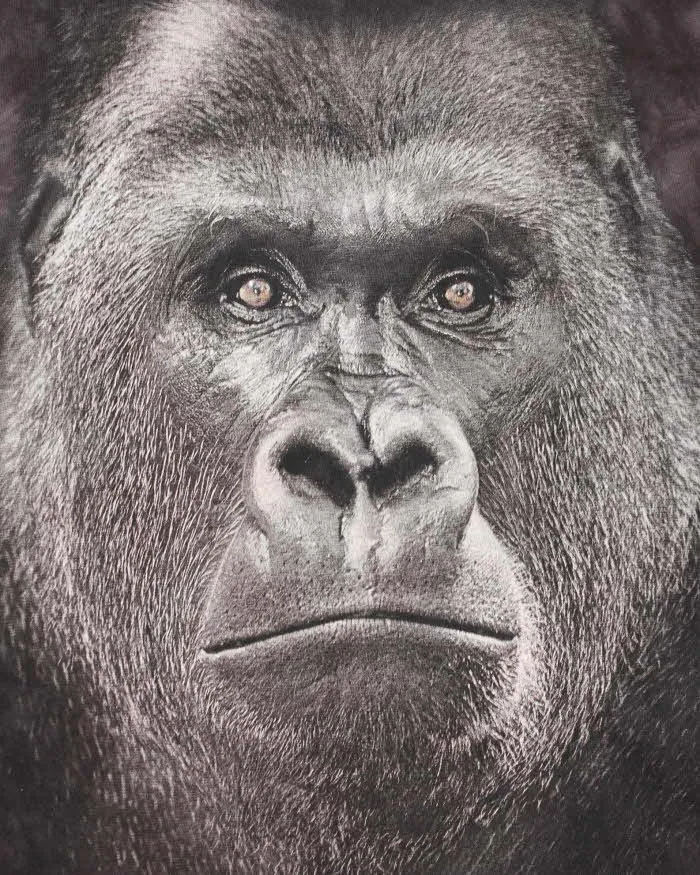 Vintage 2000's Smithsonian Gorilla All Over Print T-Shirt - XXL sold by Rokit product image thumbnail 3