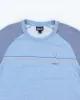 Vintage 00s Patagonia Lightweight Sweatshirt - L sold by Rokit