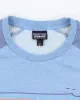 Vintage 00s Patagonia Lightweight Sweatshirt - L sold by Rokit