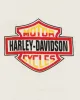 Vintage Harley Davidson Puerto Vallarta Graphic T-Shirt - XL sold by Rokit